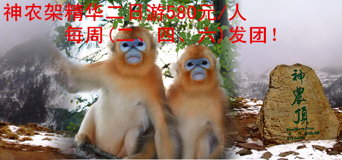 神農(nóng)架精華二日游