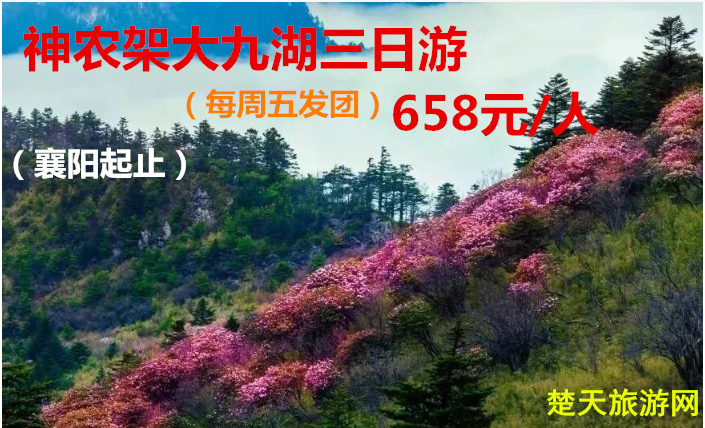 <全年暢銷>2025年襄陽出發(fā)到神農(nóng)架大九湖全景三日游|襄陽到神農(nóng)架旅游攻略